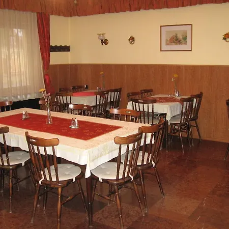Hattyú Panzió Inn 3*